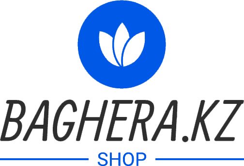 logo-2